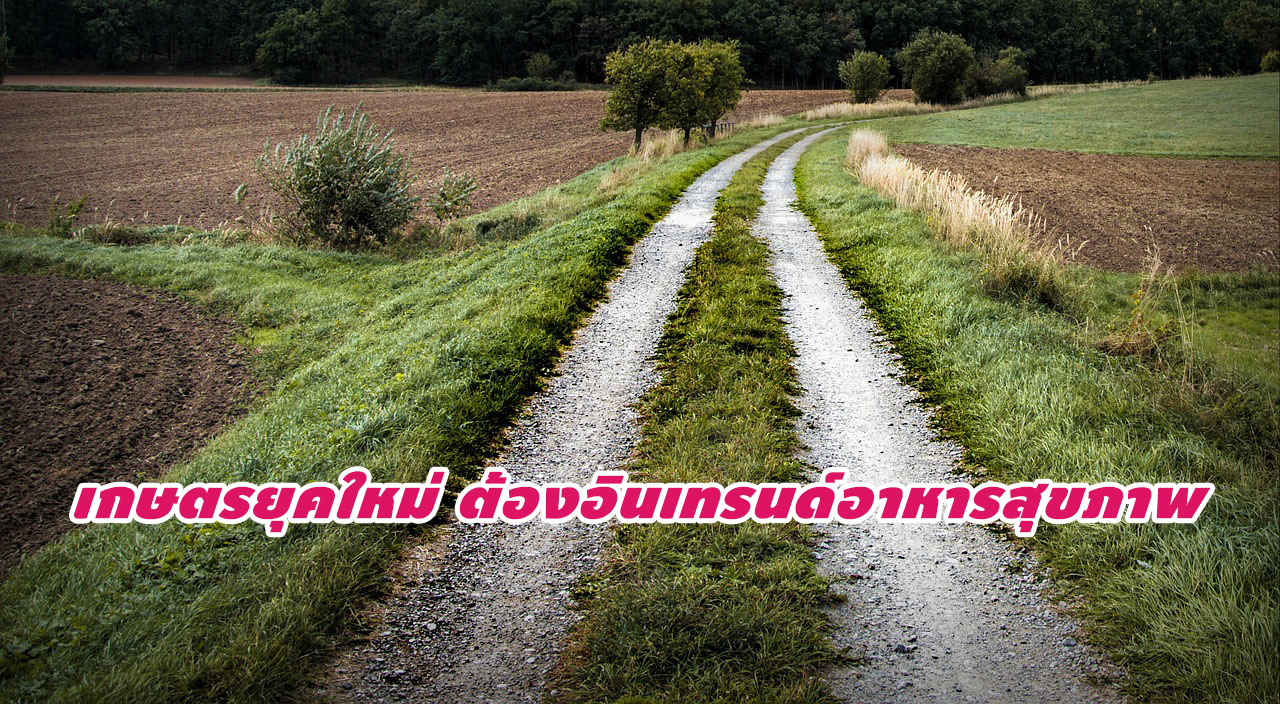 path-972781_1280