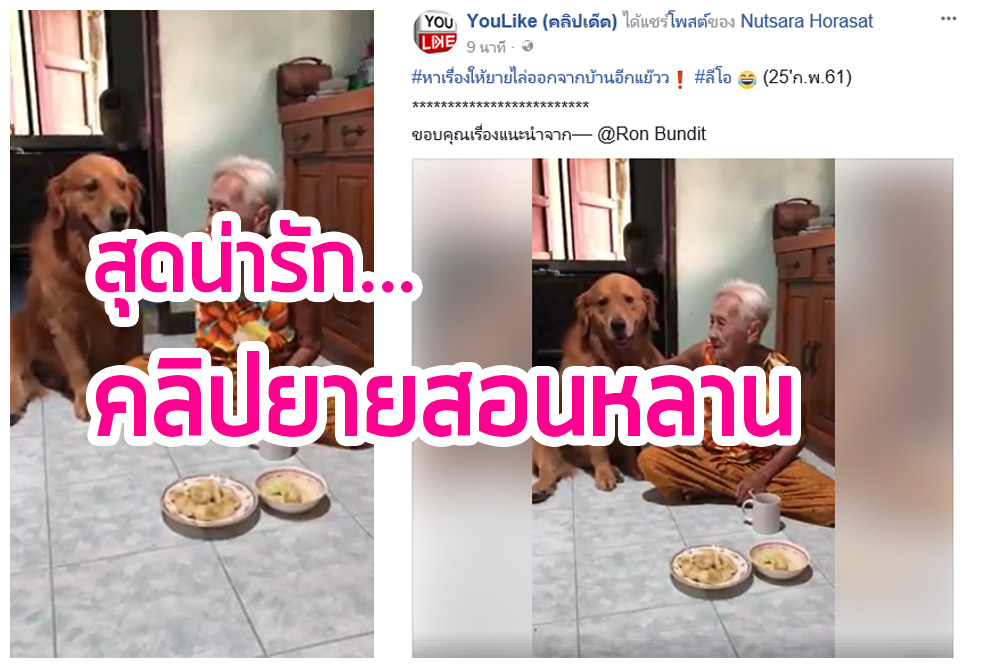 คลิปยายสอนหลาน